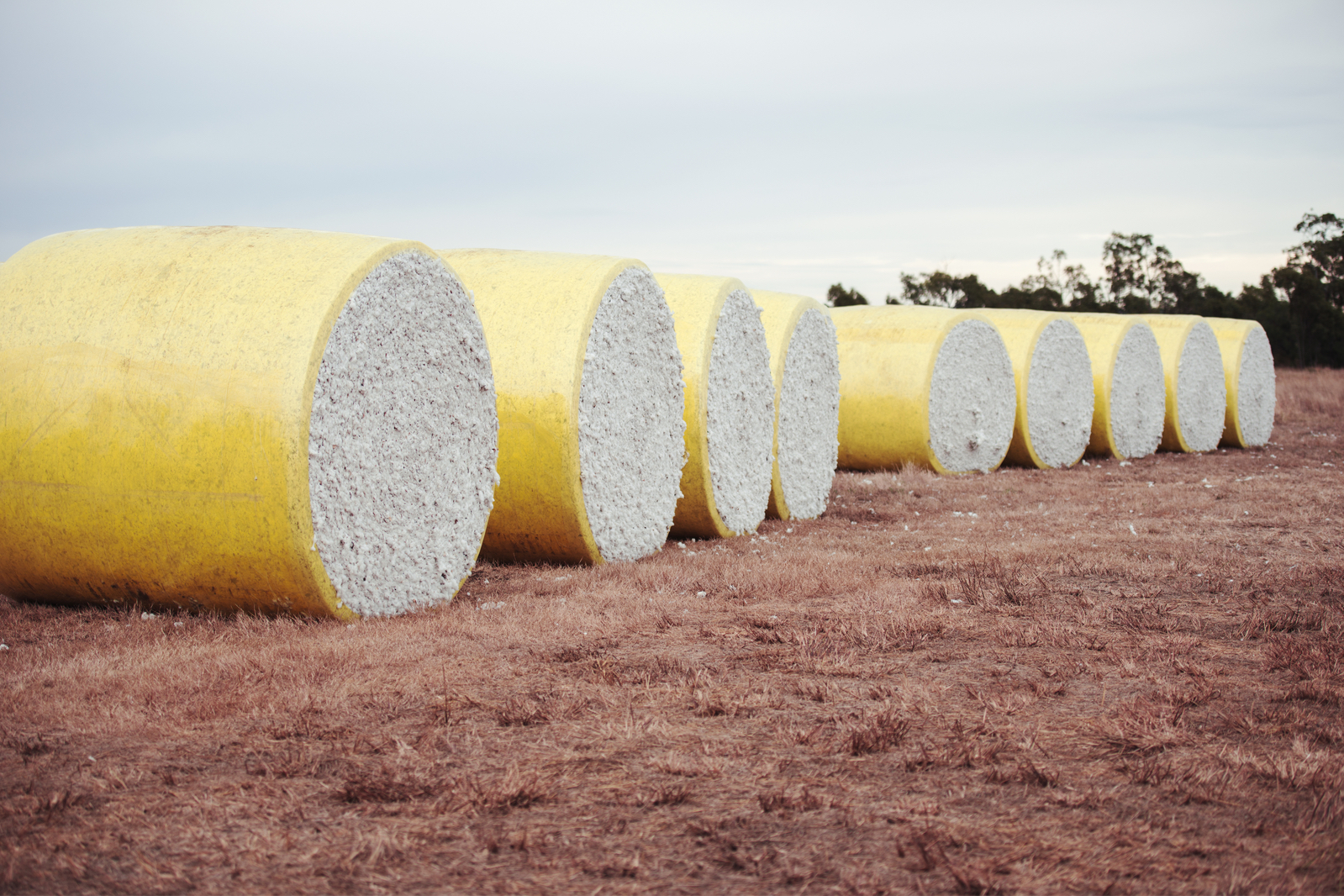 Macquarie nabs Cubbie Station agriculture stake from China textile giant