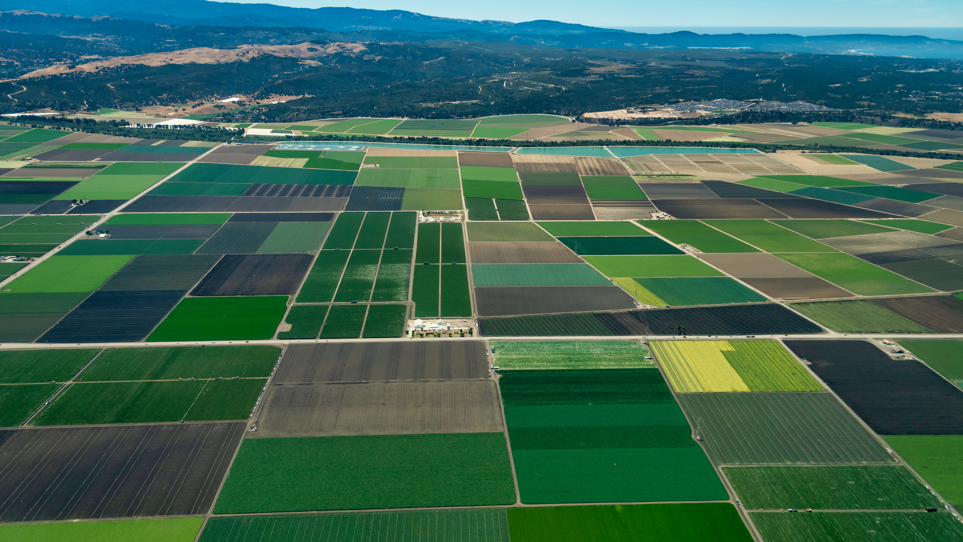 Farmland investors seek yields (almost) as high as an elephant’s eye