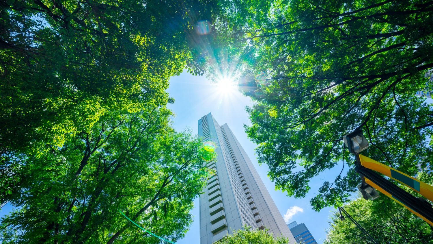 Norinchukin Bank to roll out first “green” REIT fund in Tokyo