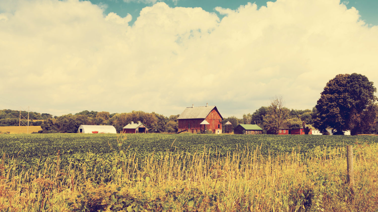 Podcast: AcreTrader Founder and CEO Carter Malloy on the future of U.S. farmland investing