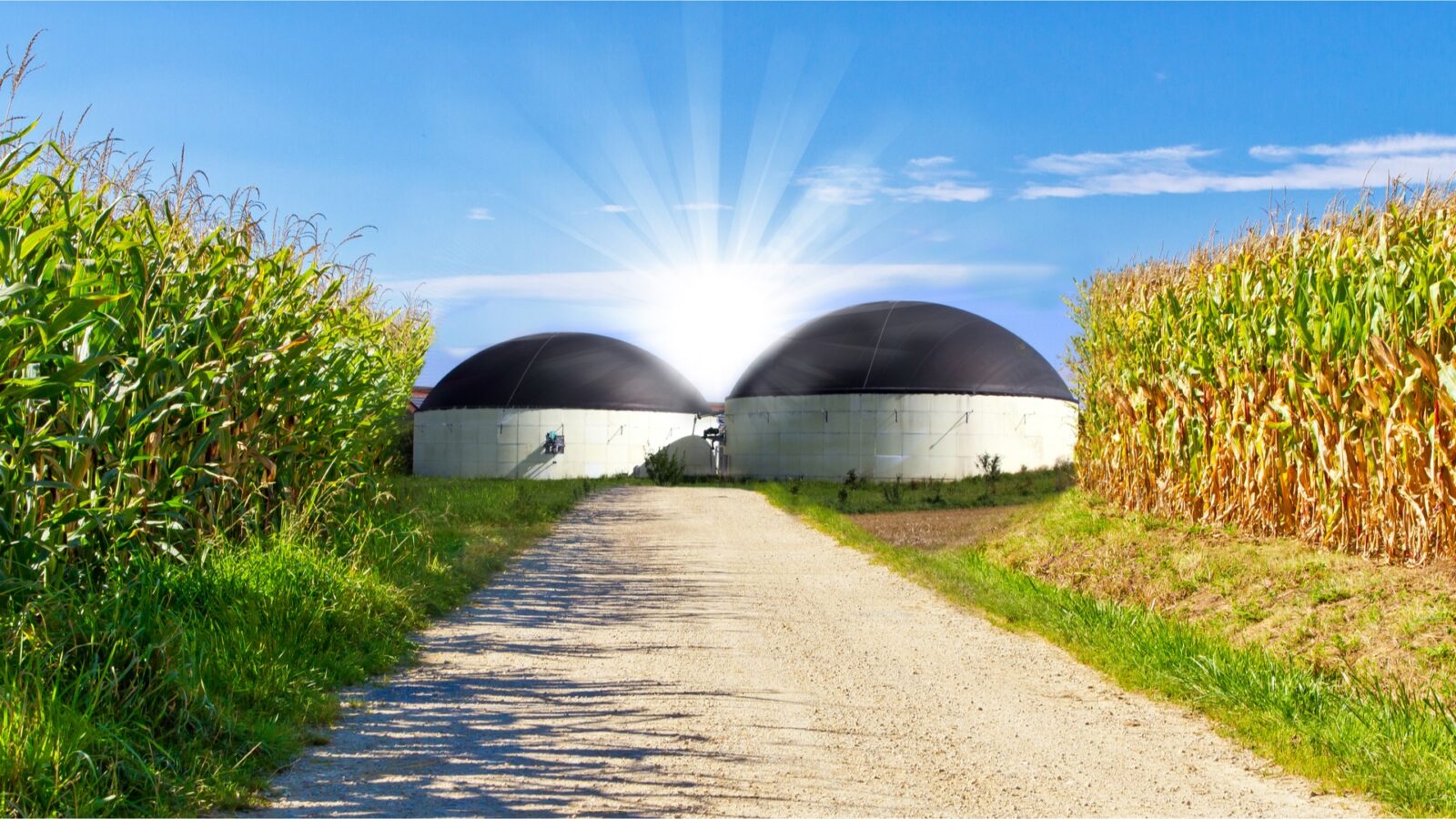 Dominion Energy, Smithfield Foods hit milestone in “farm-to-energy” biogas venture