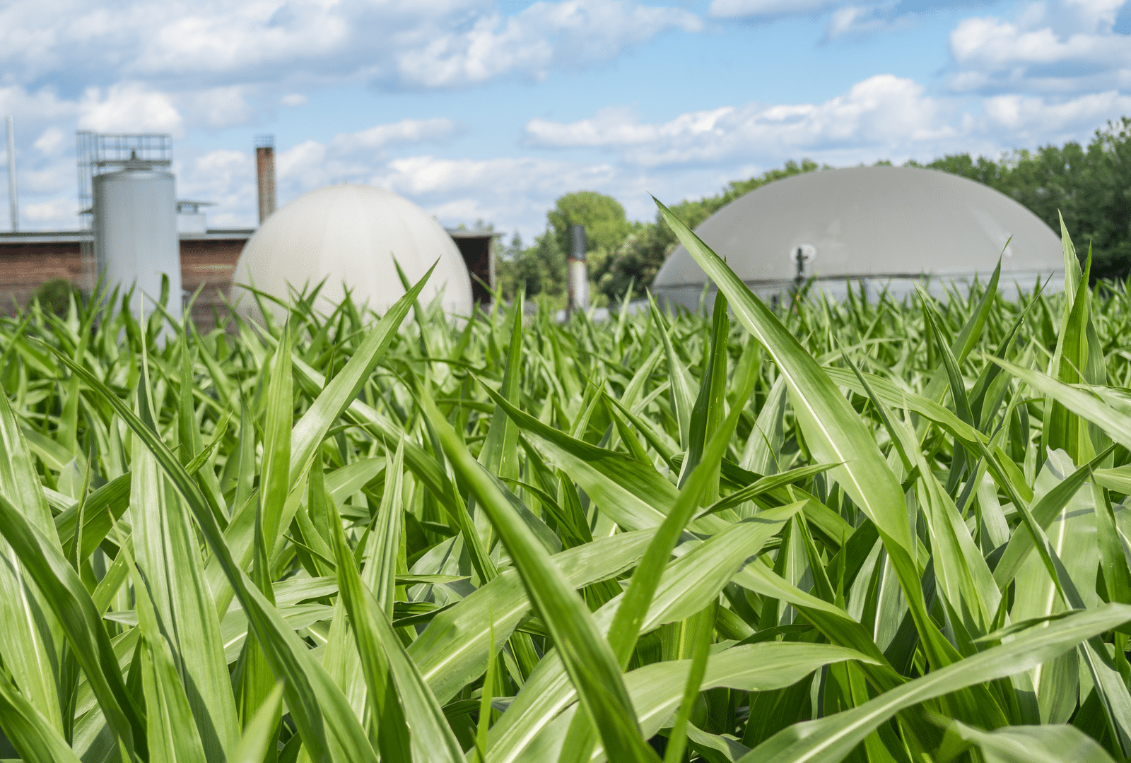 Southern Co. gets DoE funds to lead hydrogen from biowaste project