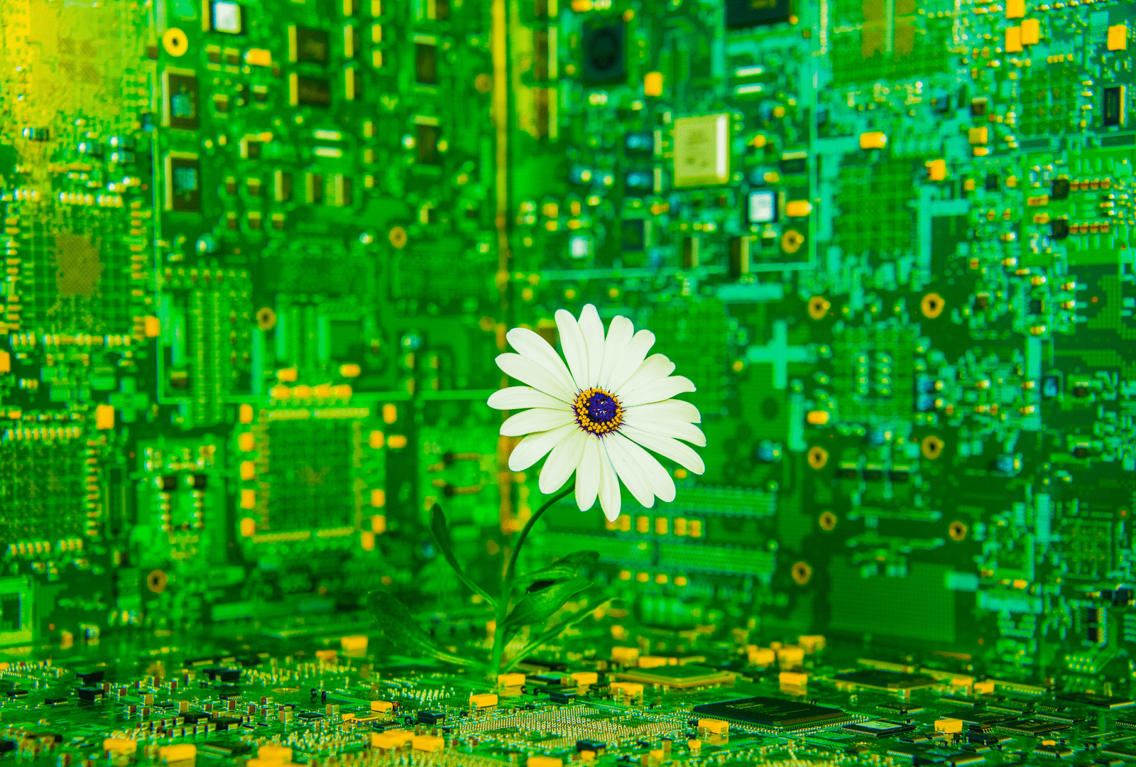 Schneider Electric unveils sustainability framework for data centers