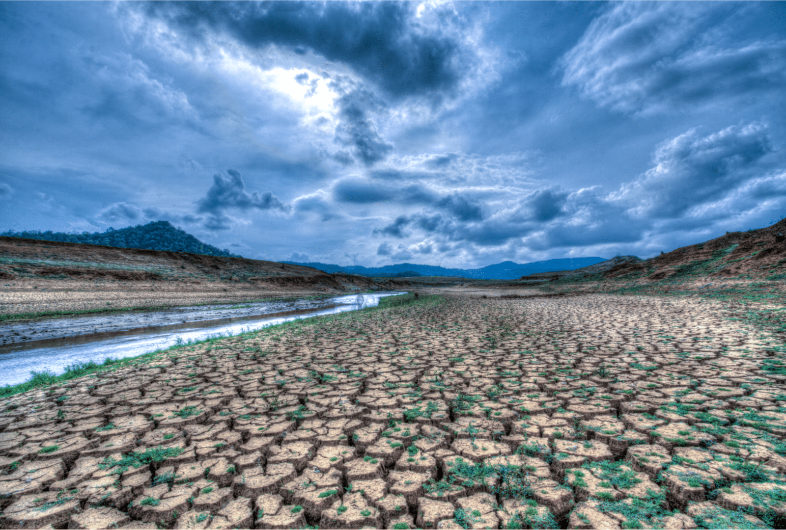 Wellington Management, MIT to partner on climate change research